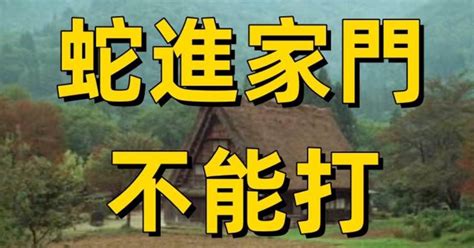 蛇進家門|老話常說：「蛇進家門不能打」為什麼不能打？「蛇進。